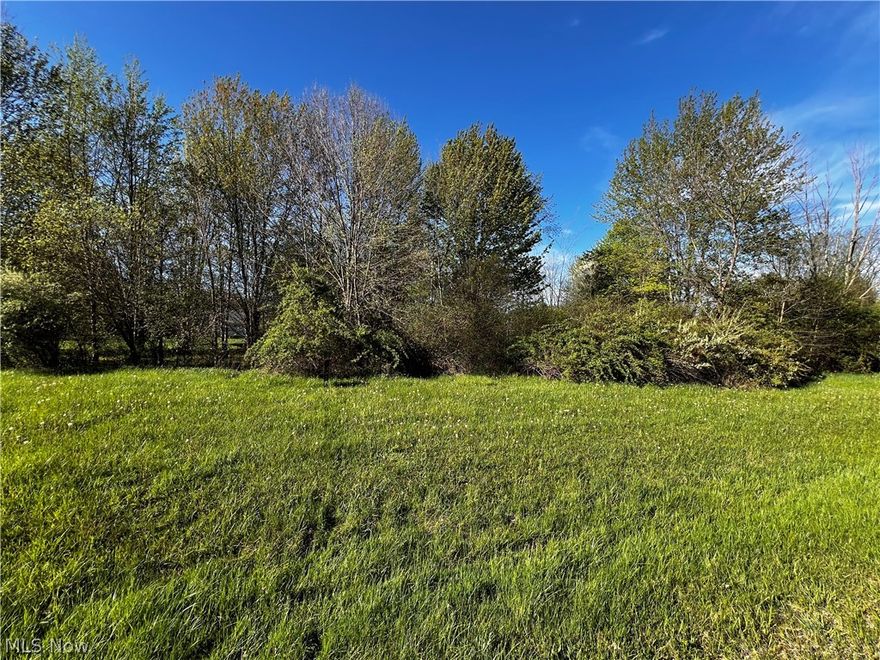 Welcome to Roaming Shores Lake Community offering this great buildable lot with great amenities, Lake access, Lakefront restaurant, clubhouse, beach, heated pool, fishing, boating, skiing, tennis courts, picnic area to all members. Minutes away from Marina, as well as Greenway Trail. This private lake community is surrounded by 550-acre man-made Lake with over 20 miles of shoreline. Come check it out!