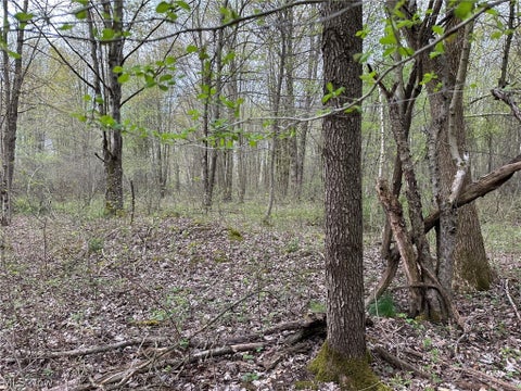 Tiny photo for VL Stanhope-Kelloggsville Road, Kingsville, OH 44048 (MLS # 5221853)