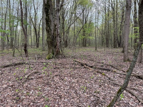 Photo of VL Stanhope-Kelloggsville Road, Kingsville, OH 44048 (MLS # 5221853)