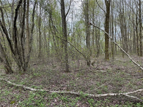 Tiny photo for VL Stanhope-Kelloggsville Road, Kingsville, OH 44048 (MLS # 5221853)