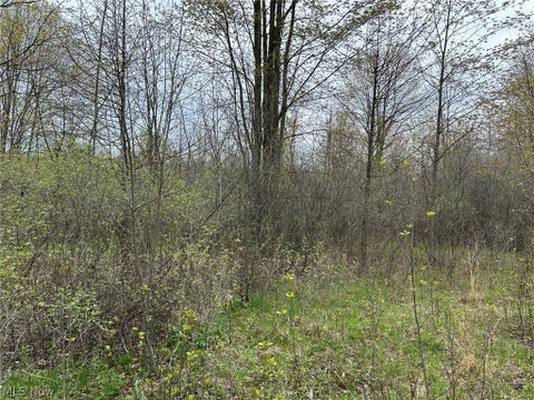 Tiny photo for VL Stanhope-Kelloggsville Road, Kingsville, OH 44048 (MLS # 5221853)