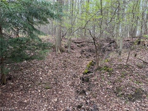 Tiny photo for VL Stanhope-Kelloggsville Road, Kingsville, OH 44048 (MLS # 5221853)