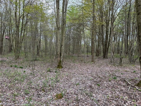Tiny photo for VL Stanhope-Kelloggsville Road, Kingsville, OH 44048 (MLS # 5221853)