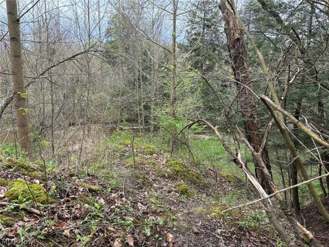 Tiny photo for VL Stanhope-Kelloggsville Road, Kingsville, OH 44048 (MLS # 5221853)