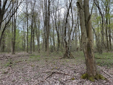 Tiny photo for VL Stanhope-Kelloggsville Road, Kingsville, OH 44048 (MLS # 5221853)