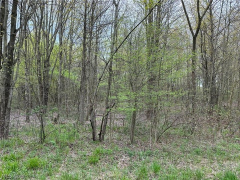 Tiny photo for VL Stanhope-Kelloggsville Road, Kingsville, OH 44048 (MLS # 5221853)