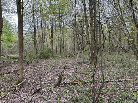 Tiny photo for VL Stanhope-Kelloggsville Road, Kingsville, OH 44048 (MLS # 5221853)
