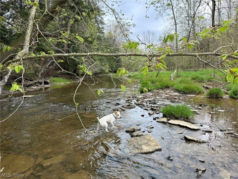 Tiny photo for VL Stanhope-Kelloggsville Road, Kingsville, OH 44048 (MLS # 5221853)