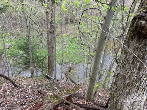 Tiny photo for VL Stanhope-Kelloggsville Road, Kingsville, OH 44048 (MLS # 5221853)