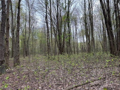 Tiny photo for VL Stanhope-Kelloggsville Road, Kingsville, OH 44048 (MLS # 5221853)