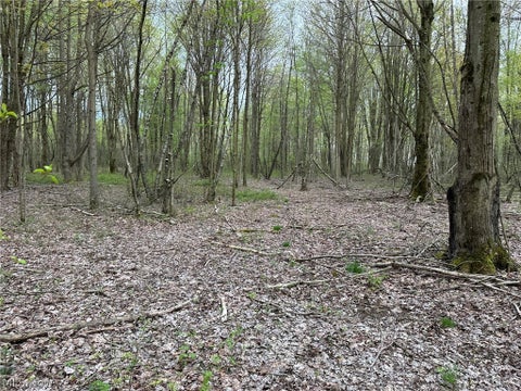 Tiny photo for VL Stanhope-Kelloggsville Road, Kingsville, OH 44048 (MLS # 5221853)