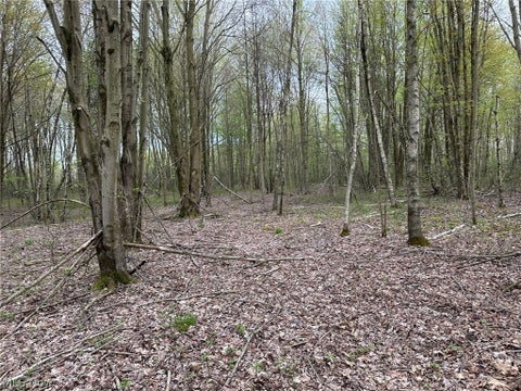 Tiny photo for VL Stanhope-Kelloggsville Road, Kingsville, OH 44048 (MLS # 5221853)