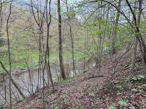 Tiny photo for VL Stanhope-Kelloggsville Road, Kingsville, OH 44048 (MLS # 5221853)