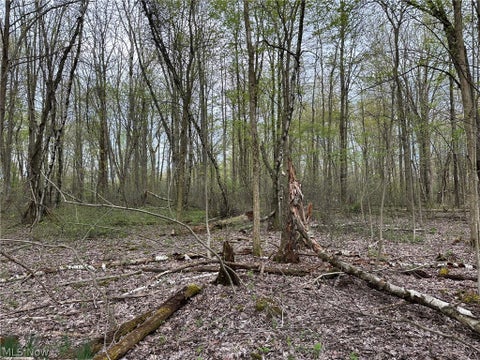 Tiny photo for VL Stanhope-Kelloggsville Road, Kingsville, OH 44048 (MLS # 5221853)