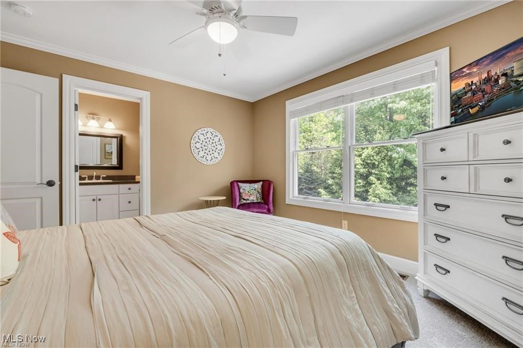 Monaco Place Sub - Residential