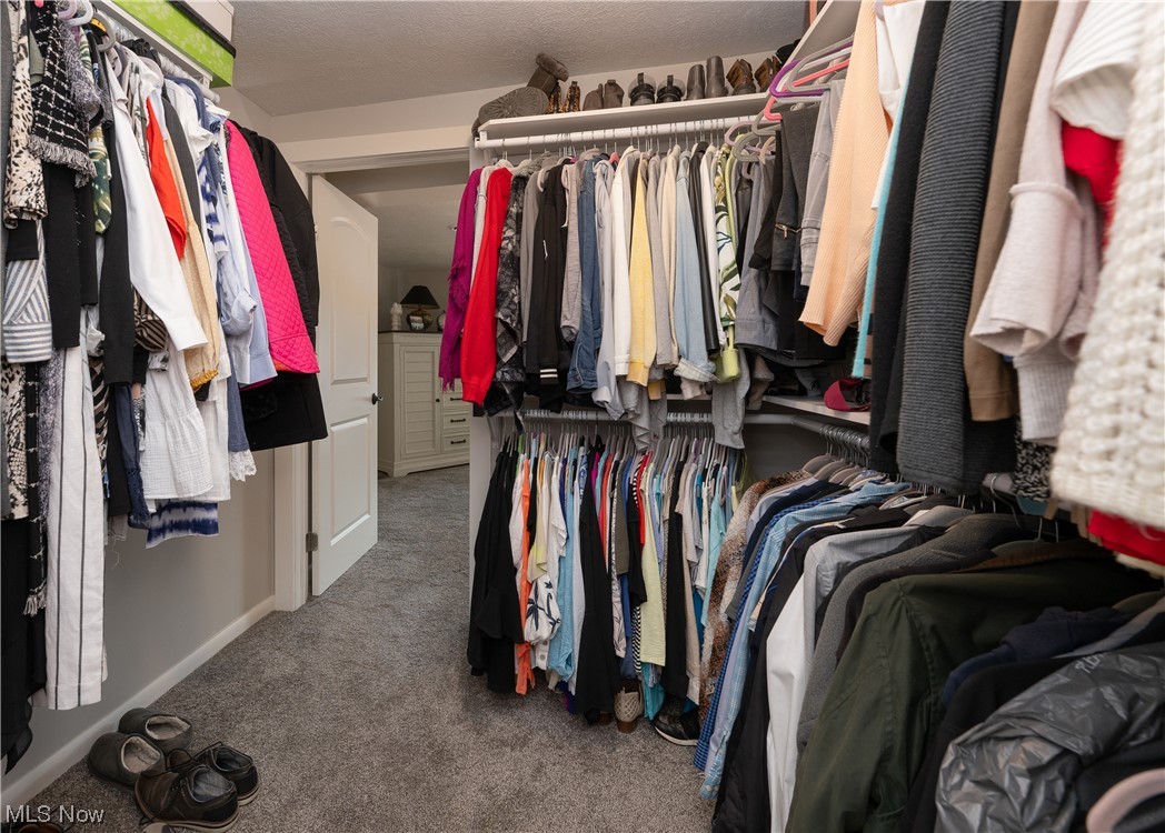 Willowdale Lake - Residential