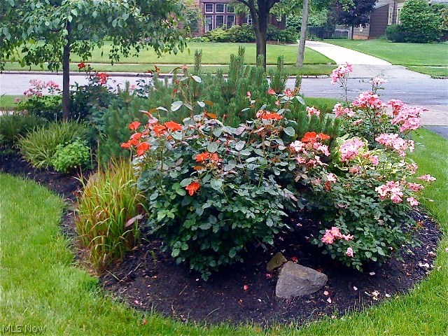 Van Sweringen Cos 14 - Residential