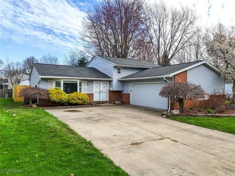 644 University Avenue, Elyria, OH 44035 - #: 5109974