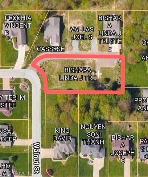 Tiny photo for 7889 Walnut Street, Youngstown, OH 44512 (MLS # 5257384)