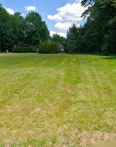 Photo of 7889 Walnut Street, Youngstown, OH 44512 (MLS # 5257384)