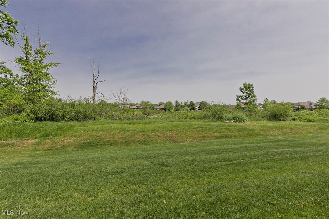 Twinsburg, Ohio 44087, United States, 3 Bedrooms Bedrooms, ,3 BathroomsBathrooms,Residential,Active,145682