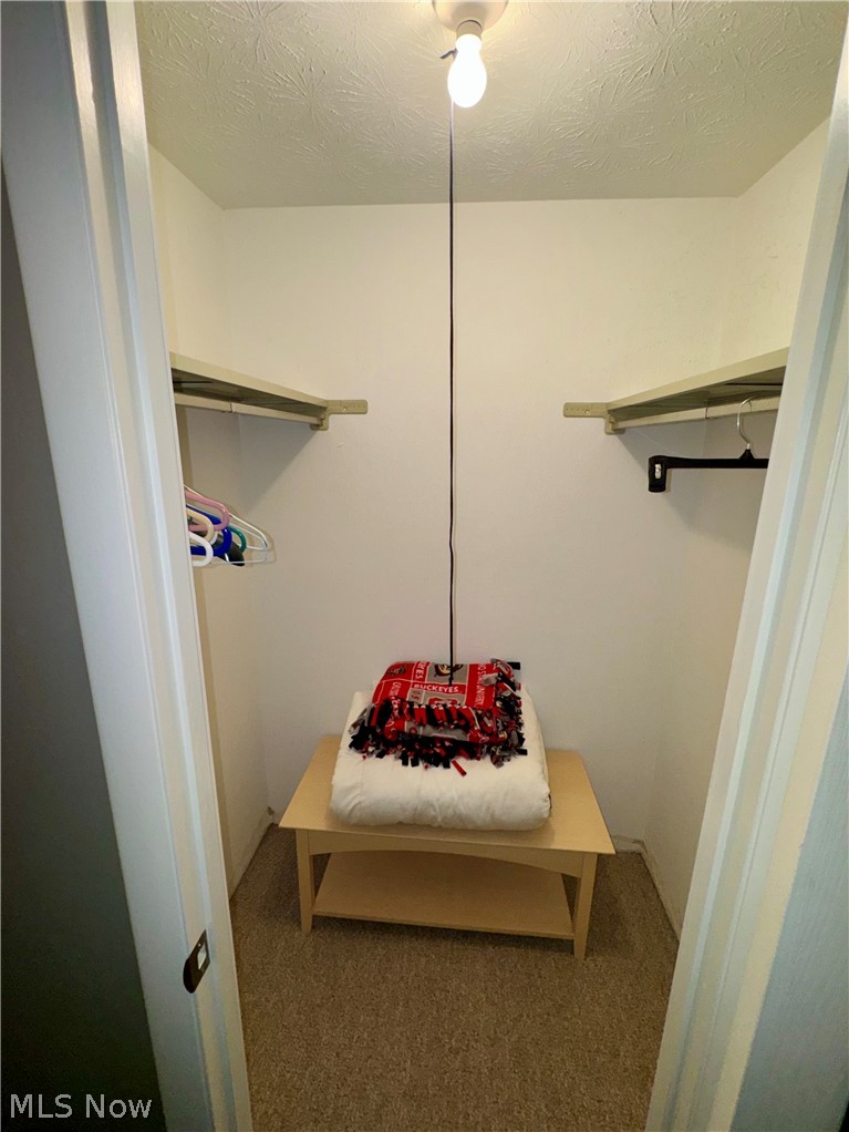 Woods/Brecksville Condo - Residential