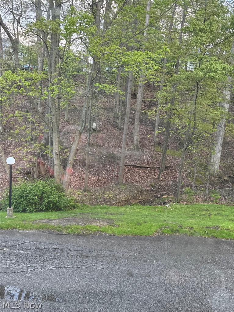Woods/Brecksville Condo - Residential