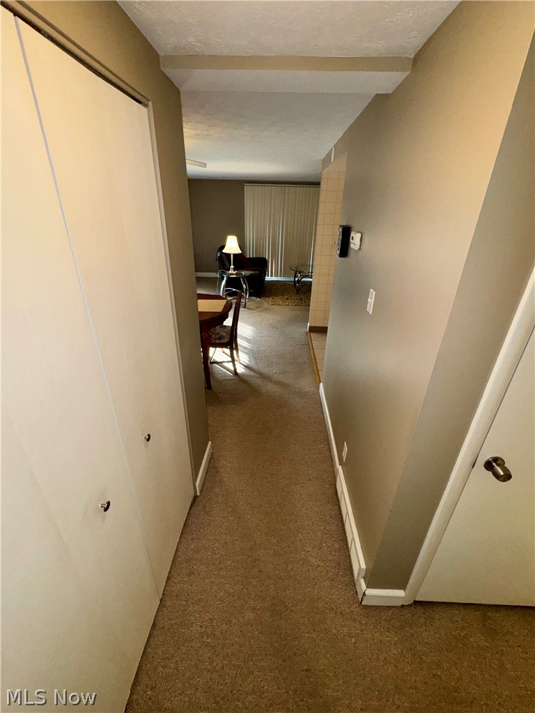 Woods/Brecksville Condo - Residential
