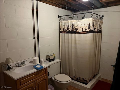Tiny photo for 395 W Clark Street, East Palestine, OH 44413 (MLS # 5157545)