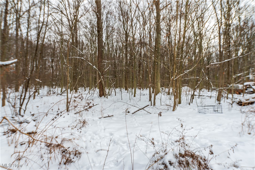 Palmyra - Residential