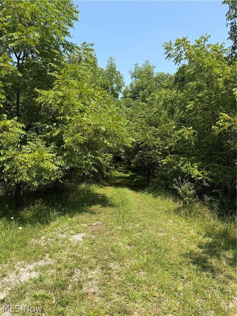 16.25 Ac Rear 17th Avenue