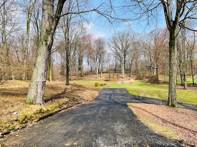 Suffield Heights - Residential