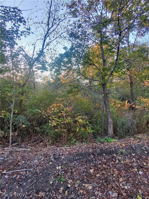 Tiny photo for S Bender Avenue, Akron, OH 44319 (MLS # 5255491)