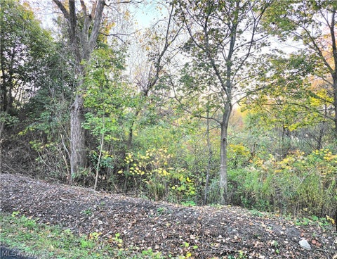 Photo of S Bender Avenue, Akron, OH 44319 (MLS # 5255491)