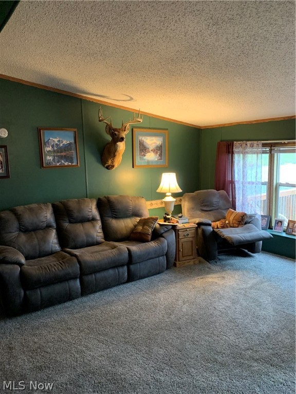 Brimfield - Residential