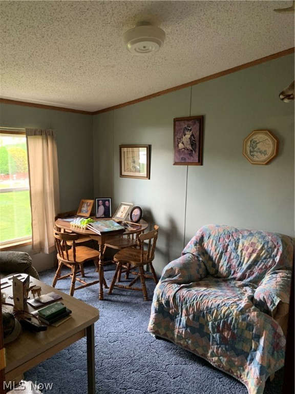 Brimfield - Residential