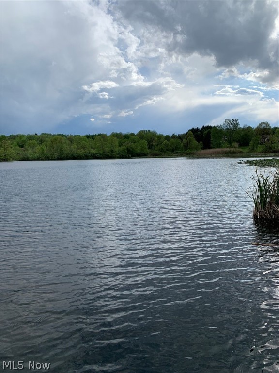 Brimfield - Residential