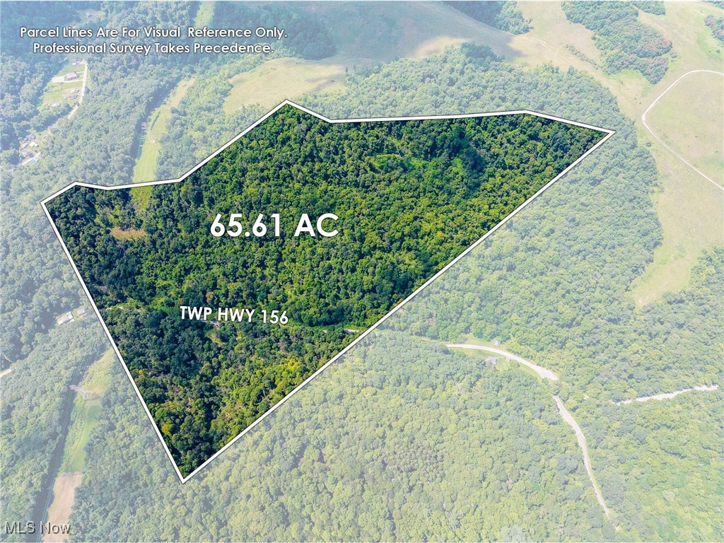 Check out this new listing in Jefferson County—over 65 acres of wooded land with frontage on both sides of TR 156, offering easy access to ideal food plot locations and potential blind setups. A scenic creek runs through the property, making it a haven for wildlife, while existing trails and a driveway provide convenient access throughout. Offering a potential cabin site, this land is ready for your finishing touches. Schedule a showing today!