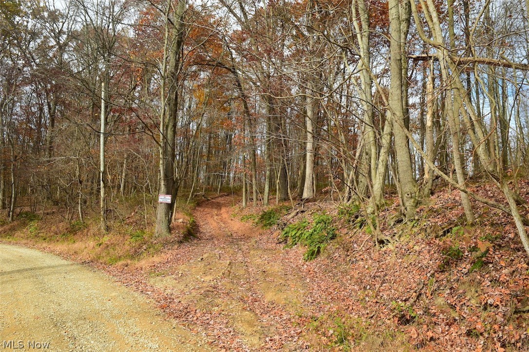 AUCTION: August 3 at 5:50 P.M.
39 wooded acres located in beautiful Mohican Valley. This is a fantastic location just around corner from Wally Road, the Scenic Byway winding along the Mohican River. This land is rolling with a buildable, flat area in the center of it that would make a good spot for a cabin or lodge. Many tall, young trees with very little underbrush. Tranquil and quiet and a nature's hotspot.
This is part of a lot split, so final acreage is subject to survey. Taxes TBD.