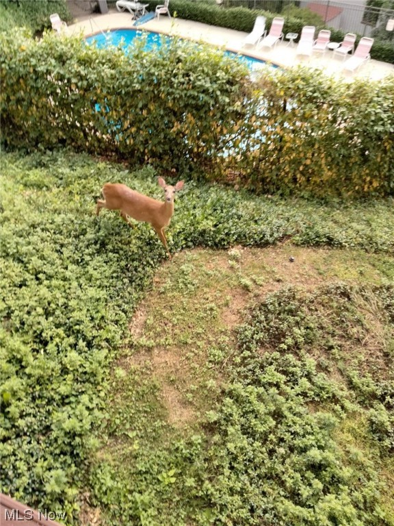 Westlake Condo - Residential