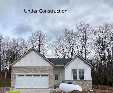 6137 Grey Heron Drive Medina OH 44256