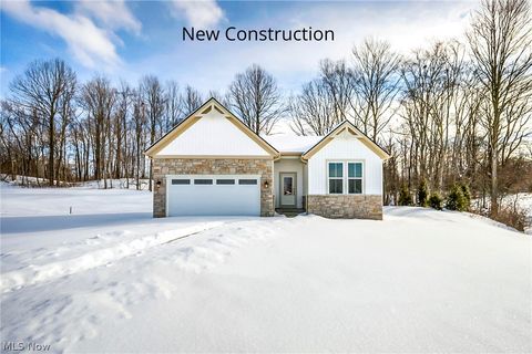 6137 Grey Heron Drive Medina OH 44256