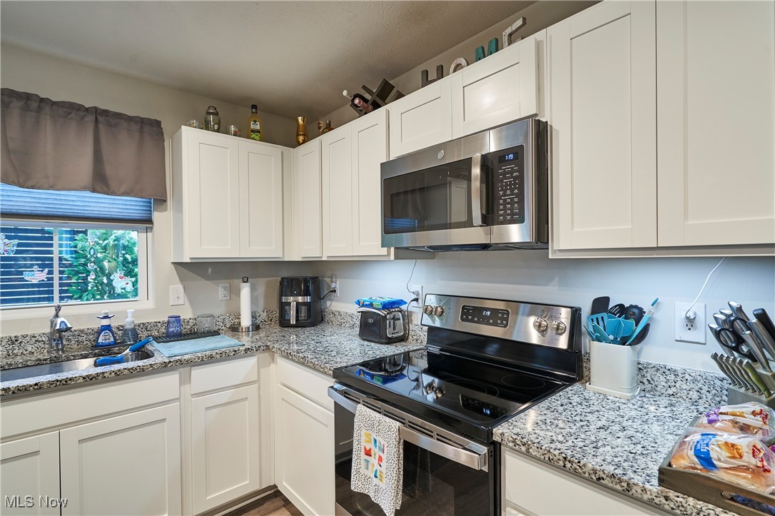 Painesville, Ohio 44077, United States, 3 Bedrooms Bedrooms, ,2 BathroomsBathrooms,Residential,Active,175132