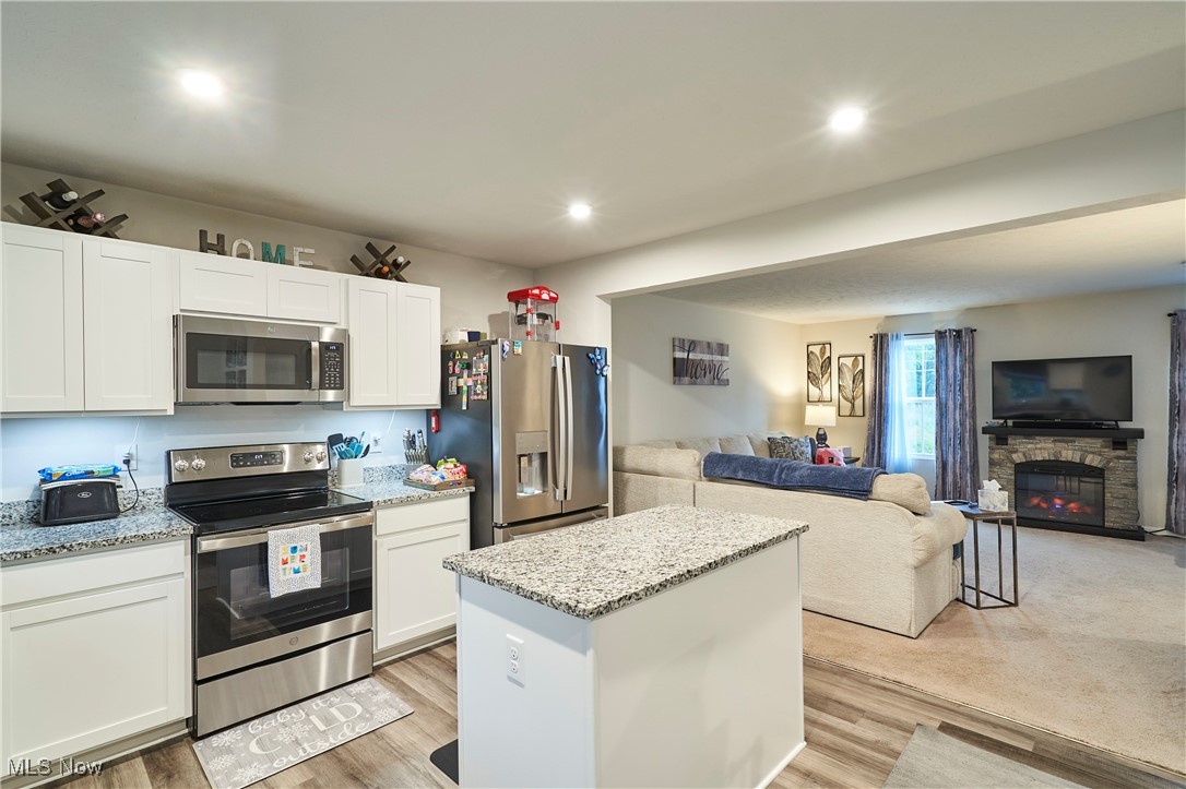 Painesville, Ohio 44077, United States, 3 Bedrooms Bedrooms, ,2 BathroomsBathrooms,Residential,Active,175132