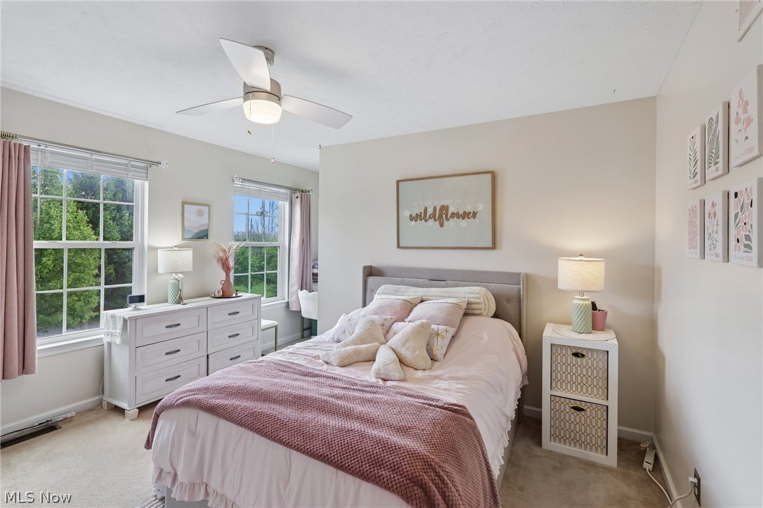 New Haven Neighborhood Ph Iib - Residential