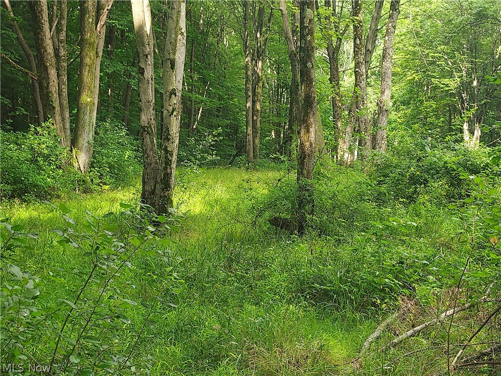 Centre Heights - Residential