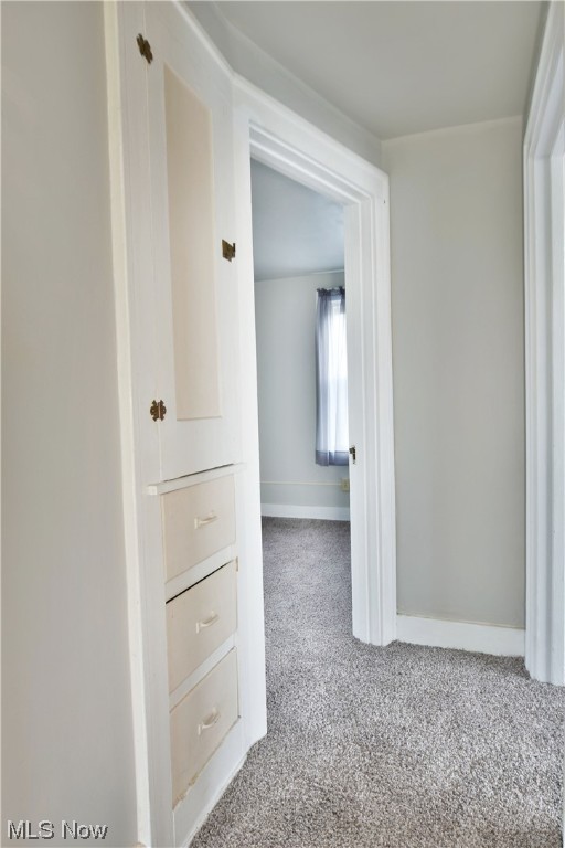 Elmwood - Residential