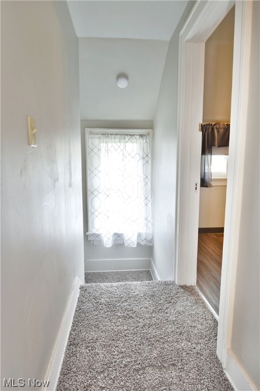 Elmwood - Residential