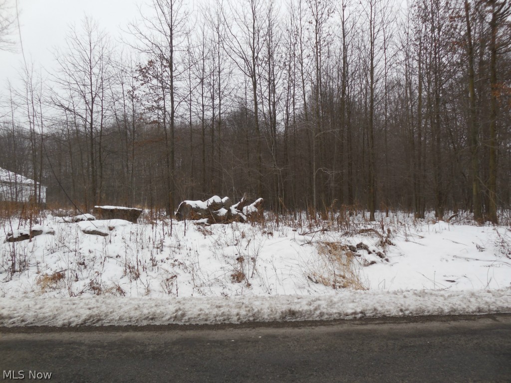 Vienna Township Sec 01 Origina - Land