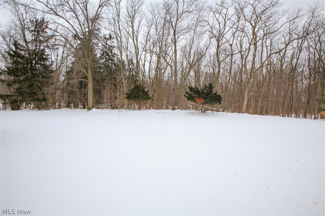 Pacini - Residential